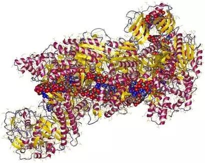 PNAS:构建出提高CRISPR-Cas9基因编辑精确度的新变体SaCas9-HF