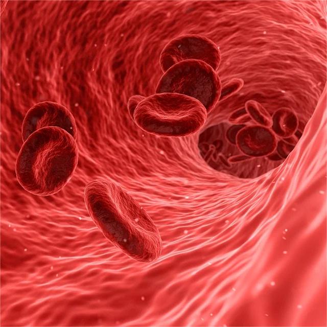 完成I期临床试验全部患者给药 瑞风生物地贫基因编辑药物RM001实现重要里程碑