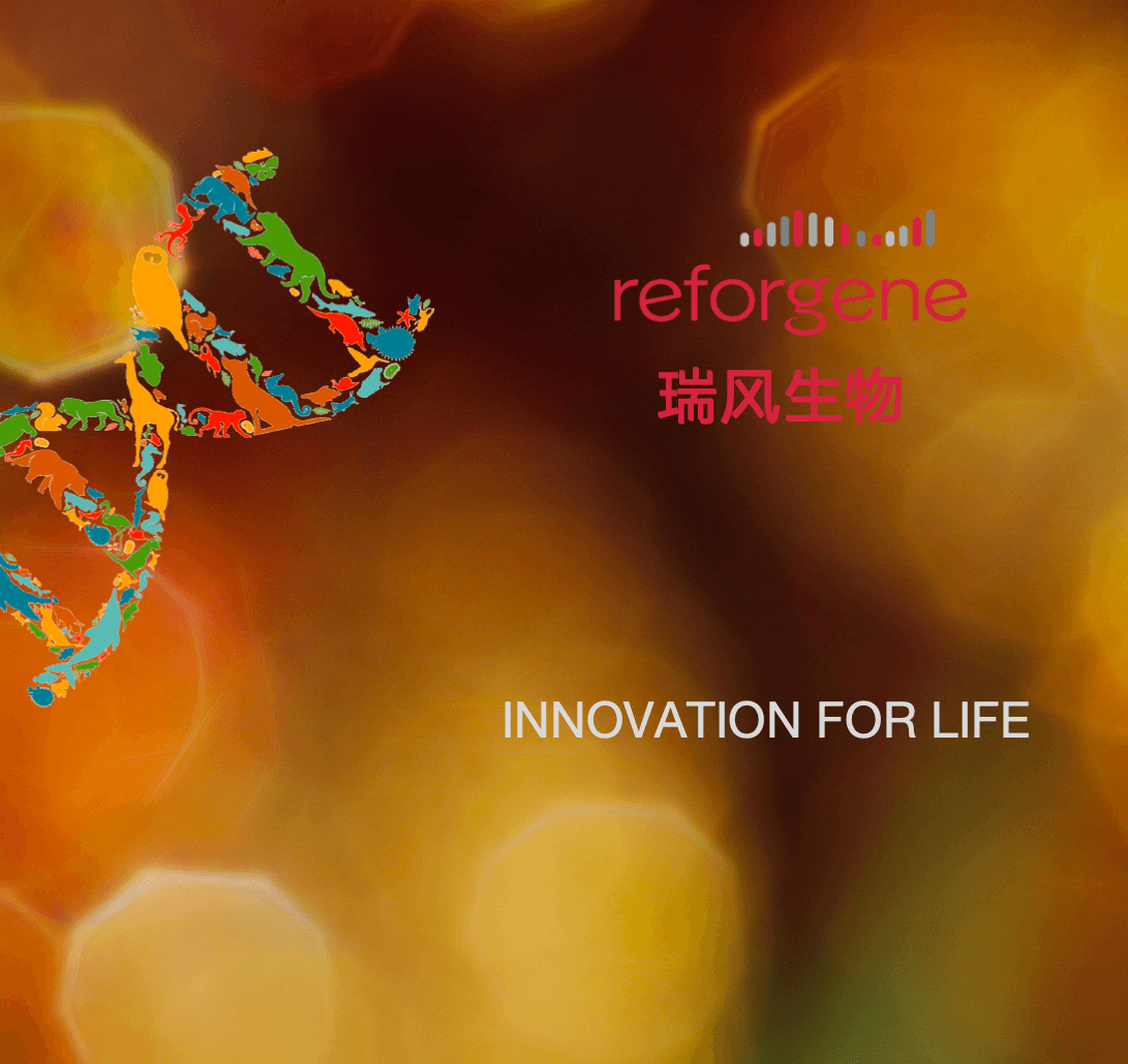 瑞风生物获数亿元新一轮融资，引领基因编辑创新药物研发